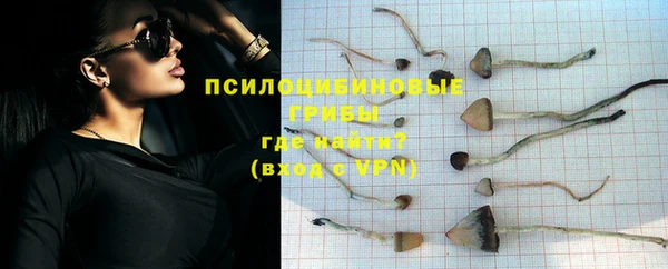 экстази Новозыбков