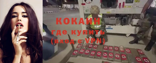 амф Новокубанск