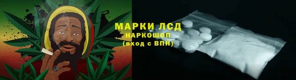 амф Новокубанск