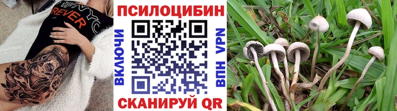 сайты даркнета официальный сайт  как найти закладки  Безенчук  Псилоцибиновые грибы ЛСД 